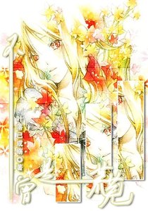 (家教同人)不曾是荒芜